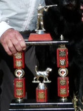 Peter Halford Memorial Trophy.jpg