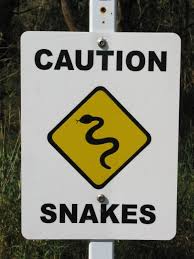 snakesign